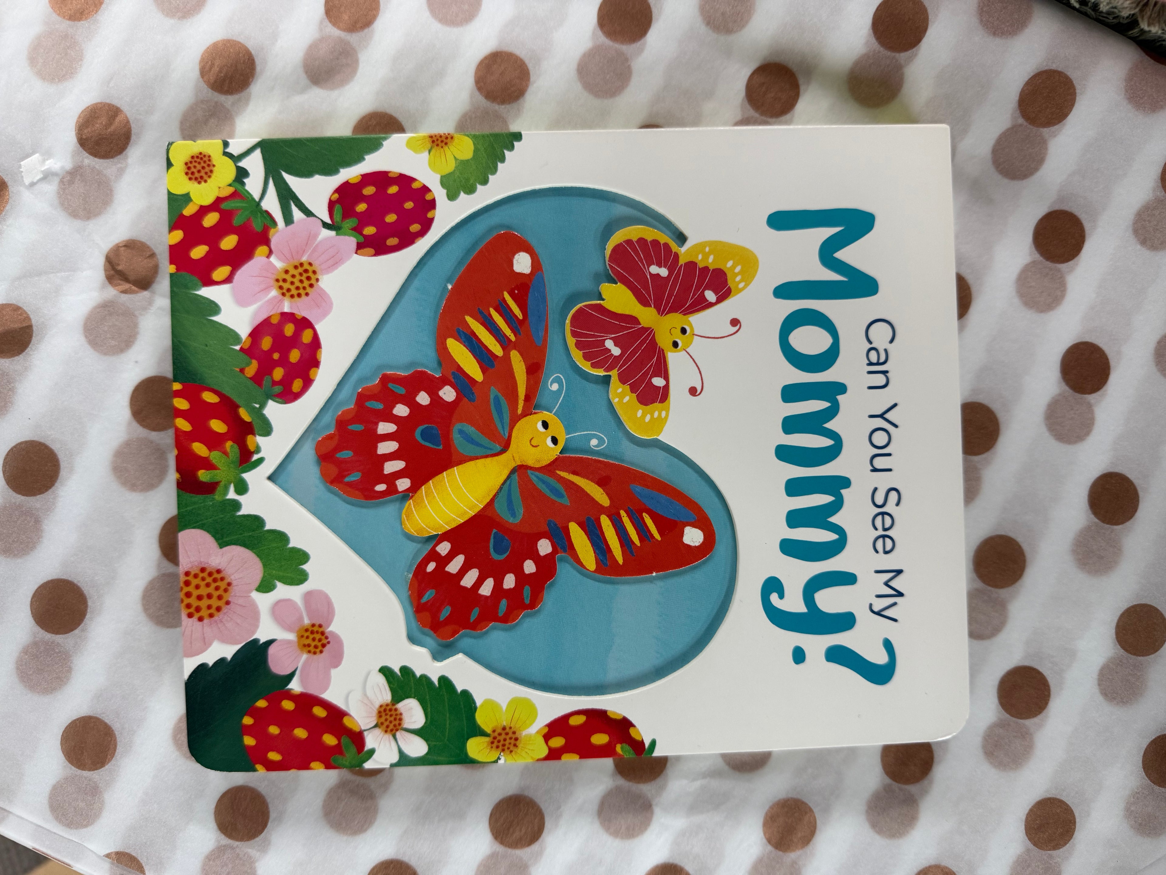 Can You See My Mommy Book
