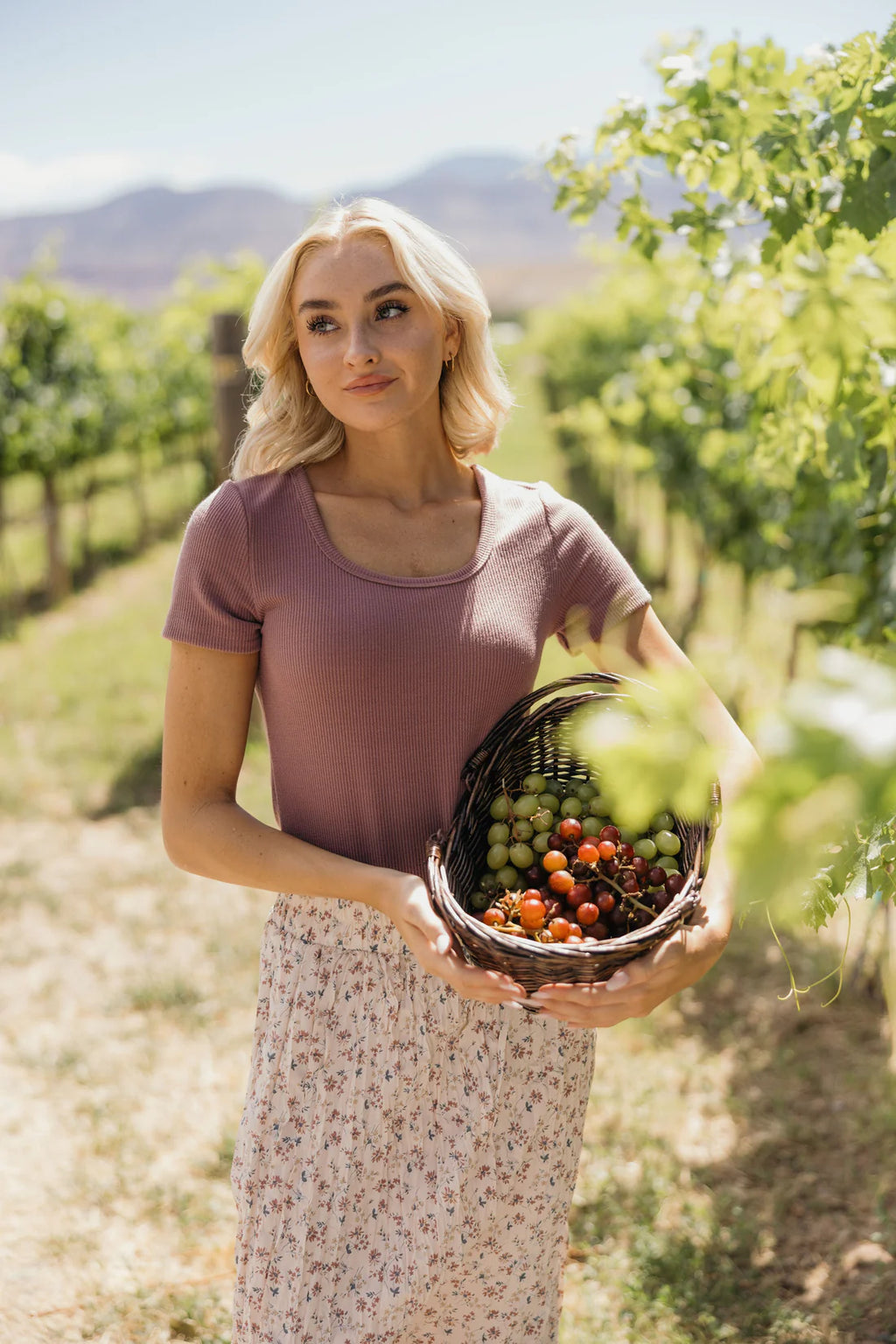 Ribbed Scoop Neck Tee - Faded Fig